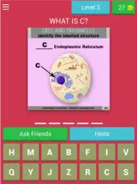 Anatomy Online Quiz: Cell and Organelles Screen Shot 9