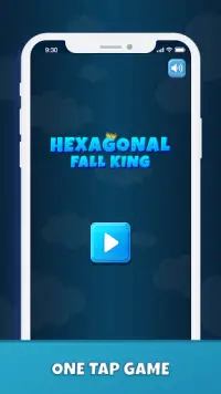 Hexagonal Fall King Screen Shot 6