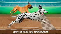 Virtual Derby Dog Racing Championship Screen Shot 0
