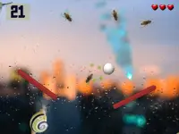 Annoy a Fly :Hit annoying flies with a ball Screen Shot 3