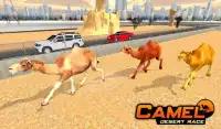 Kamel Wüste Rennen Simulator Tiere Rennen 3d Screen Shot 3