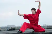 Learn Kung Fu Training 2020 Screen Shot 7