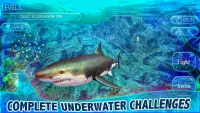 Real Shark Life - Shark Simulator Game Screen Shot 2