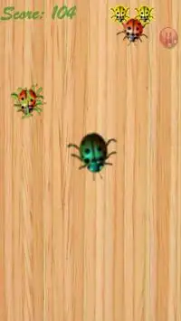 LadyBug Smasher Screen Shot 2