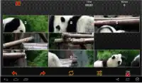 New Animal Puzzle Screen Shot 3