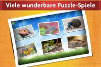 Puzzlespiel mit Insekten - Kinder & Erwachsene 🐞 Screen Shot 1