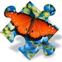 Puzzle de papillon gratuit