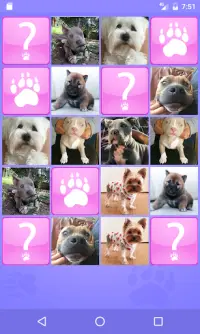 Cute Dogs Memory Match Juego ❤ Screen Shot 0