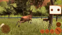 DEER Hunt 2019 - Hunting Games Screen Shot 0