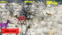 African Hunts : Deer Zone Screen Shot 3