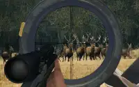 Deer Hunter Sniper Shooting 3D Screen Shot 1