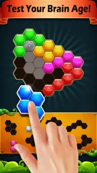 Block Hexa Puzzle 2021 Screen Shot 5