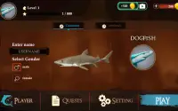 The DogFish Screen Shot 16