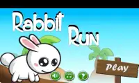 Rabbit Run Screen Shot 0
