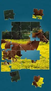 Horses Jigsaw Puzzle Game Screen Shot 3