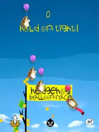 Hedgehog Balloon Race Screen Shot 8