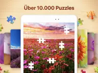 Jigsaw Puzzles - Puzzle-Spiele Screen Shot 9