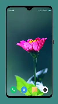 Flowers Wallpaper 4K Screen Shot 14