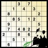 Sudoku game, solver, scanner.