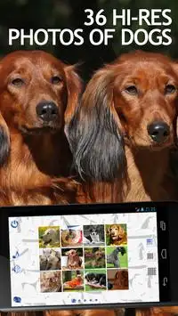 Jigsaw Puzzles Dogs Screen Shot 0