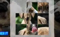 Puppy Dog Puzzle Slide - Sliding Tiles Game Screen Shot 8