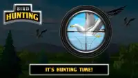 Bird Hunting Screen Shot 4