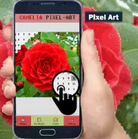 Camelia Color By Number-Flowers Pixel Art Screen Shot 0
