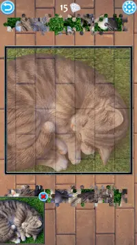 Cat Jigsaw Puzzle Screen Shot 3