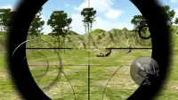 Sniper Vs Lion Vs Deer Screen Shot 10