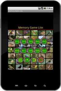 True Birds Memory Game Free Screen Shot 0