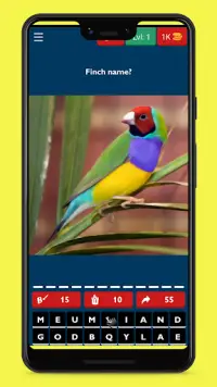 Bird Guess Fun Feather Trivia Screen Shot 0
