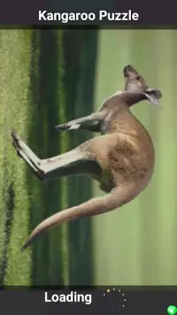 Kangaroo Puzzle Screen Shot 0