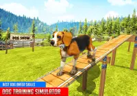 Hundetraining: Hundespiele 3D Screen Shot 12