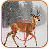 Deer Sniper Hunt 3D SnowSeason