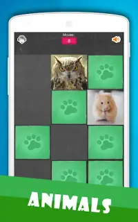 Match Game - Pairs Screen Shot 2