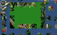 Puzzle Zoo Screen Shot 0