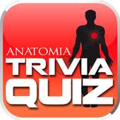 Trivia Quiz Anatomía