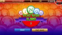 Bingo Free Games 2017 Screen Shot 4