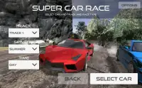 Super Car Race Screen Shot 1