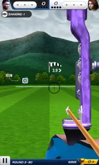 Archery World Champion 3D Screen Shot 5