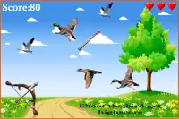 Birds shooter Angry Hunting Screen Shot 0