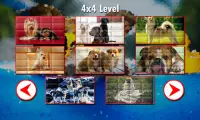 Dogs Puzzles Screen Shot 4