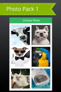 Animal Picture Puzzle Screen Shot 1