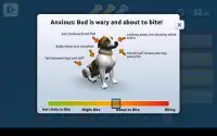 Dog Bite Prevention Strategy Screen Shot 6