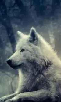 भेड़िया आरा पहेलियाँ Screen Shot 0
