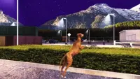 Simulator Anjing Greyhound Screen Shot 7