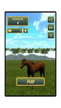 Sumba Runner : Endless Horse Runner Screen Shot 9