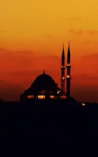Wallpaper Masjid | latar belakang hd Screen Shot 5