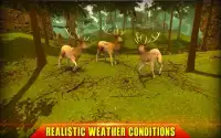 Grande Cervo Caçador: clássico arco caça jogo Screen Shot 3