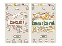 Hamster x Hamster Screen Shot 2